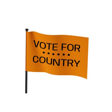 Hand Held Political Flags